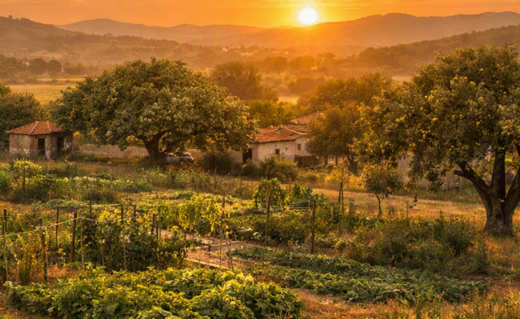 Biofertilizantes para hortícolas: guia completo