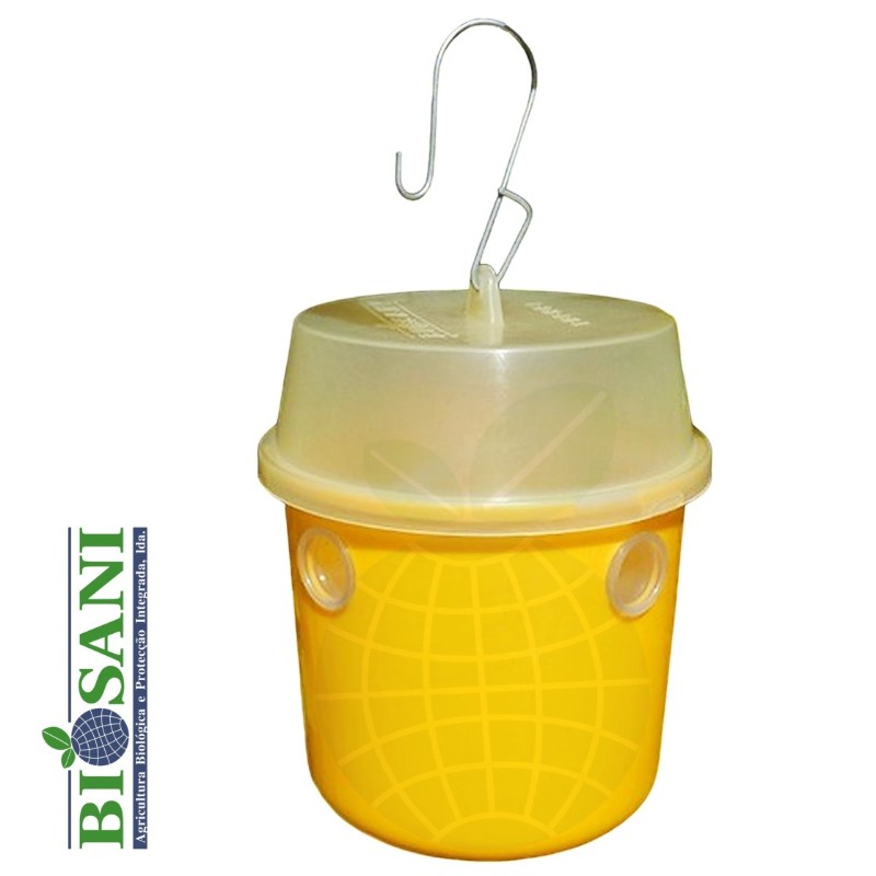 Armadilha para moscas-da-fruta