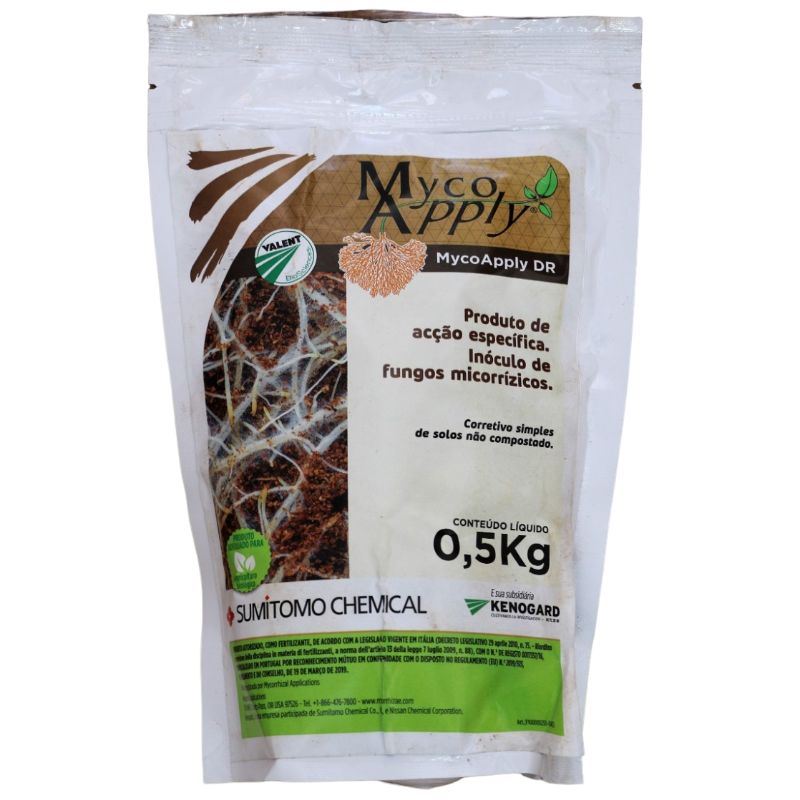 What biofertilizers are and how they work
