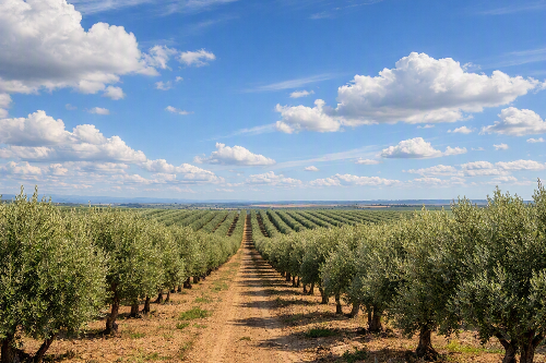 What are elicitors and how they strengthen plant defense What are elicitors and how they strengthen plant defense